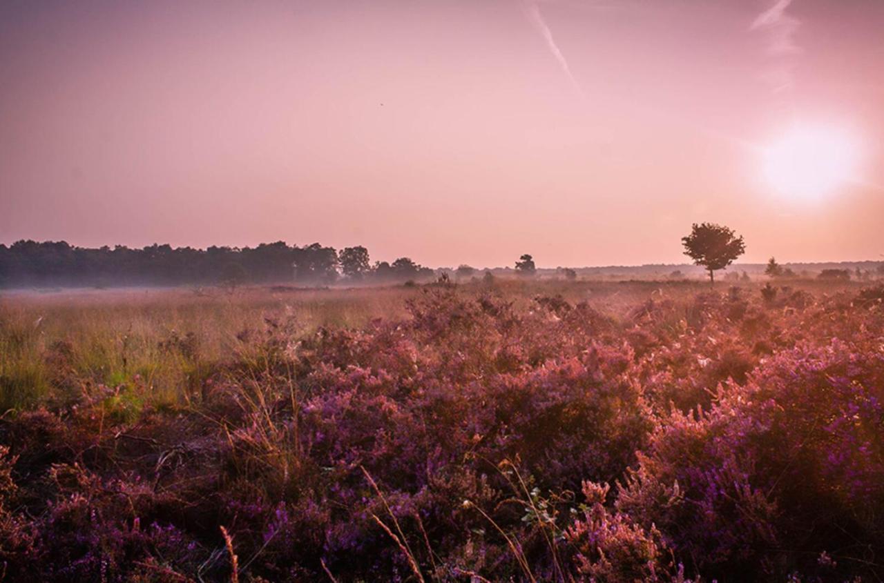 6-Persoons Veluwe Villa Вортхёйзен Экстерьер фото